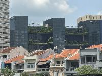 IMG_5399.JPG
