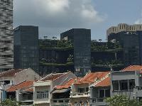 IMG_5406.JPG