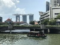 IMG_5439.JPG