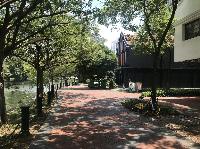 IMG_5484.JPG