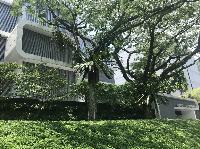 IMG_5512.JPG