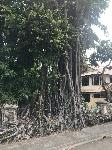 IMG_5519.JPG