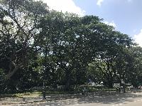 IMG_5550.JPG