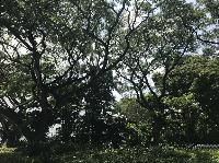 IMG_5552.JPG