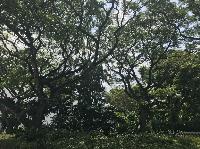 IMG_5553.JPG