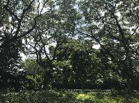 IMG_5554.JPG