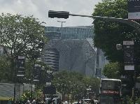 IMG_5558.JPG