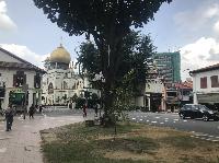 IMG_5621.JPG
