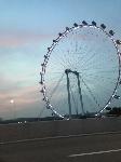 IMG_5707.JPG