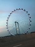 IMG_5709.JPG