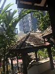 IMG_5889.JPG