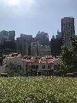 IMG_5893.JPG