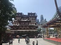 IMG_5919.JPG