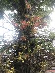 IMG_5967.JPG