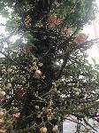 IMG_5969.JPG