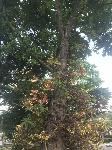 IMG_5972.JPG