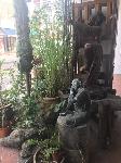 IMG_5983.JPG