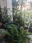 IMG_5985.JPG