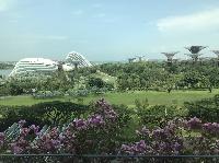 IMG_6056.JPG