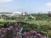 IMG_6057.JPG