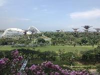 IMG_6058.JPG