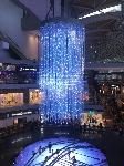 IMG_6071.JPG