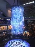 IMG_6072.JPG