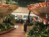 IMG_6359.JPG