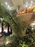 IMG_6367.JPG