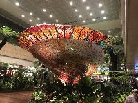 IMG_6368.JPG