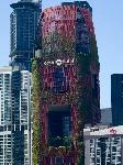 IMG_E3107.JPG