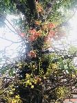 IMG_E5967.JPG