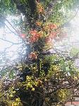 IMG_E5968.JPG