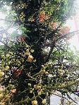 IMG_E5969.JPG
