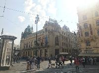 IMG_0001.JPG