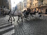 IMG_0265.JPG