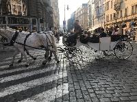 IMG_0267.JPG