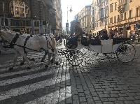 IMG_0268.JPG