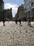 IMG_0771.JPG