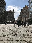 IMG_0774.JPG