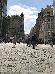 IMG_0775.JPG