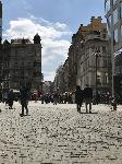 IMG_0786.JPG