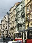 IMG_1342.JPG