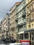 IMG_1343.JPG