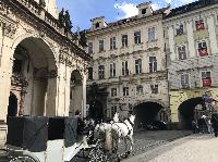 IMG_1388.JPG