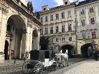 IMG_1390.JPG