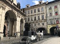 IMG_1391.JPG
