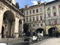 IMG_1392.JPG