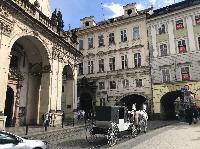 IMG_1393.JPG