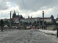 IMG_1494.JPG